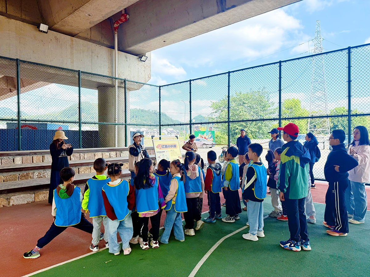 南溪南村：以薯為媒繪新景，活動賦能興鄉(xiāng)村
